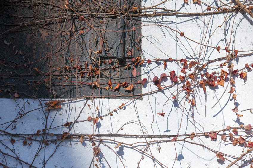 f0077849_11234546.jpg