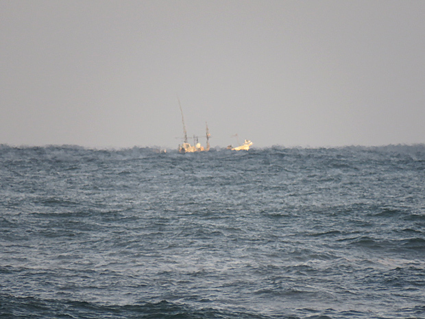 f0214649_05001270.jpg