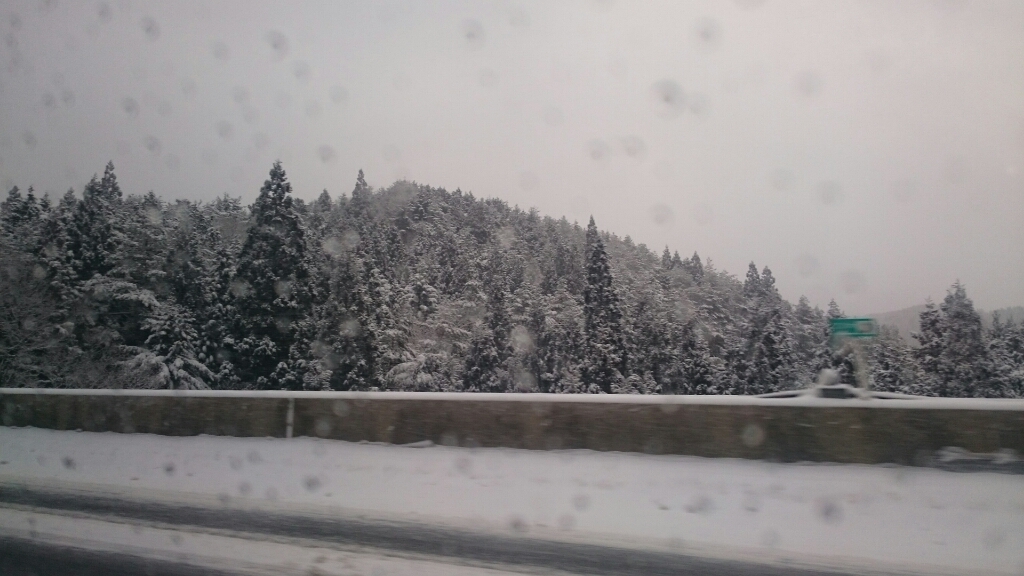b0148050_08350348.jpg