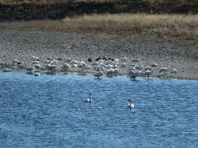 f0345263_23142629.jpg
