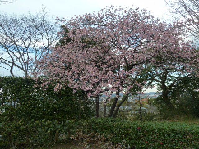 e0278968_21193483.jpg