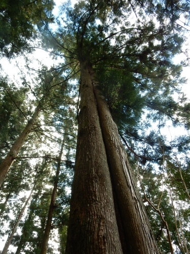 f0054677_08010104.jpg