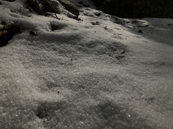 e0024081_21263811.jpg