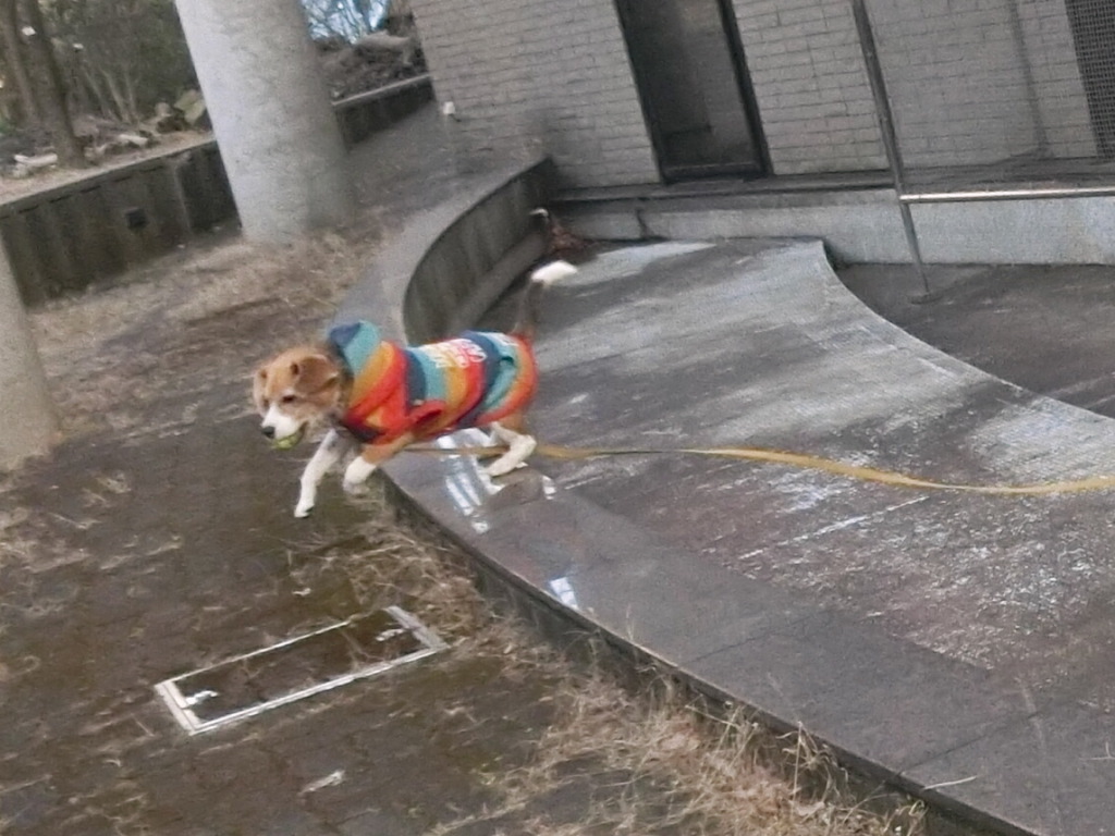 a0319693_8215781.jpg
