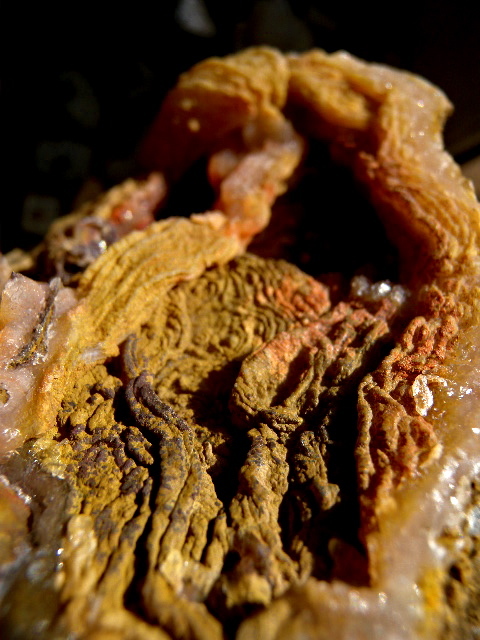 a0199297_20524029.jpg