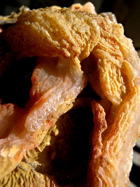 a0199297_20535269.jpg