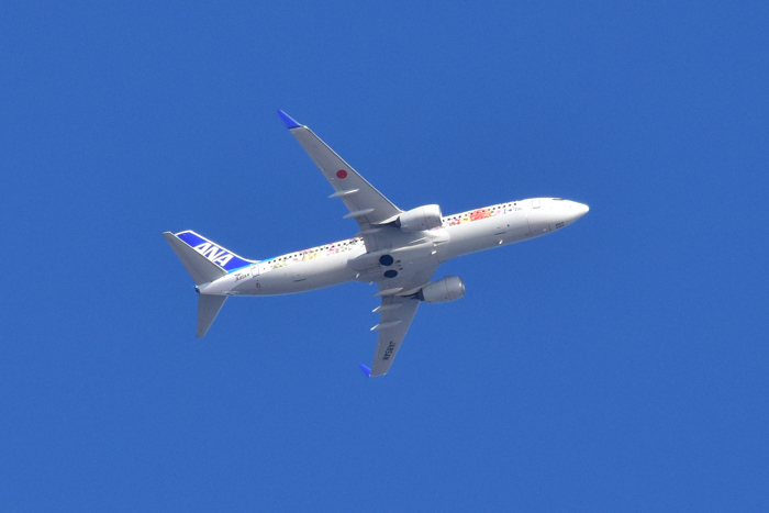 c0049299_00011620.jpg