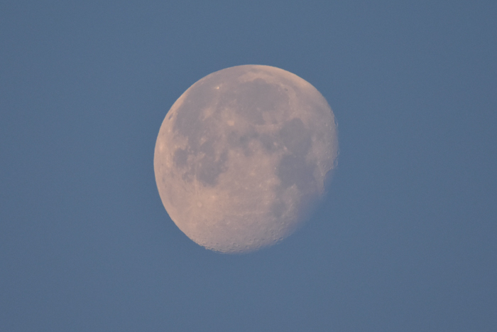 c0049299_22234563.jpg