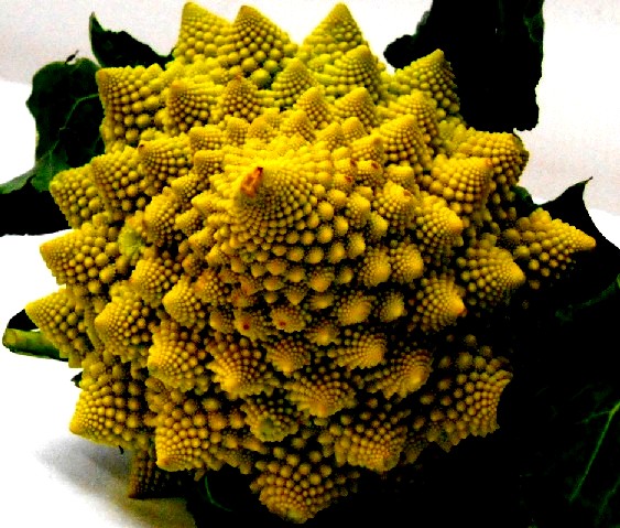 d0140806_17283049.jpg