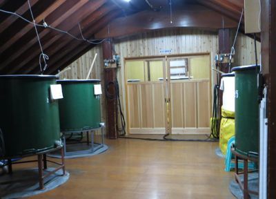 b0226219_15534575.jpg