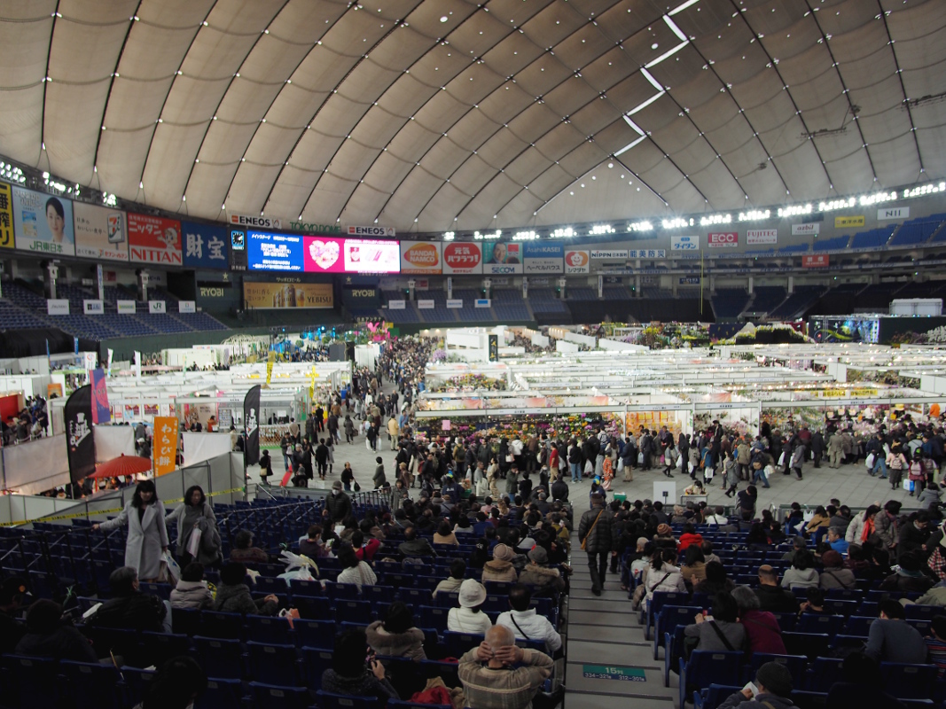 d0350219_11421640.jpg