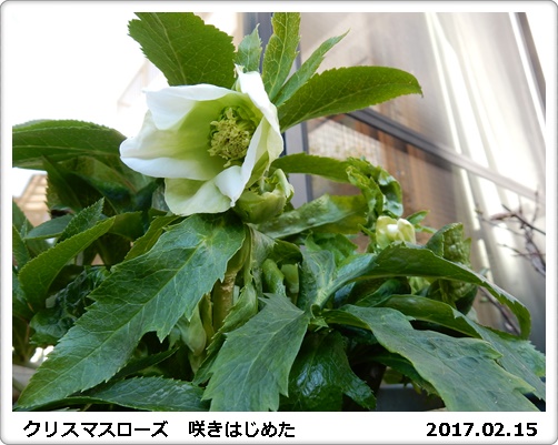 e0033229_18123977.jpg