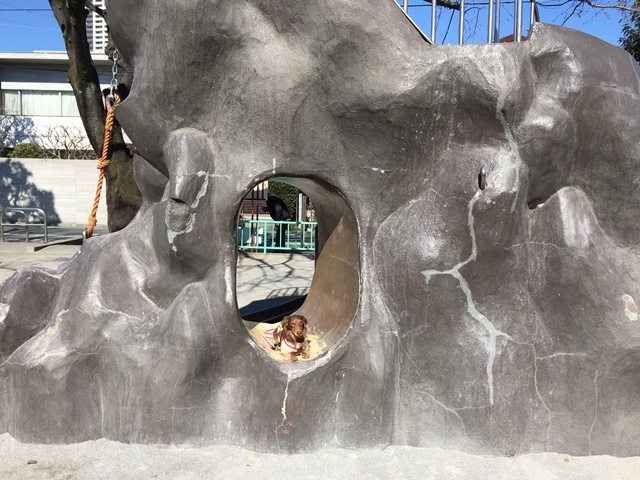 c0117831_16164188.jpg