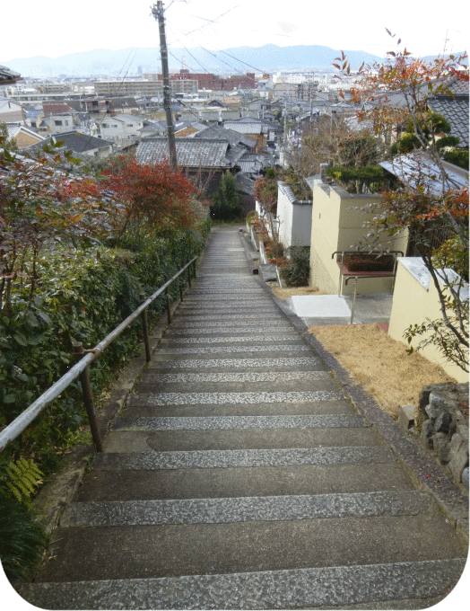 a0278632_10420014.gif