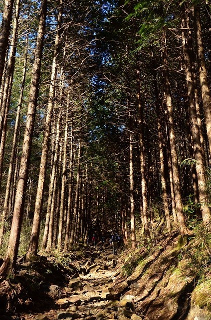 f0207943_10003331.jpg