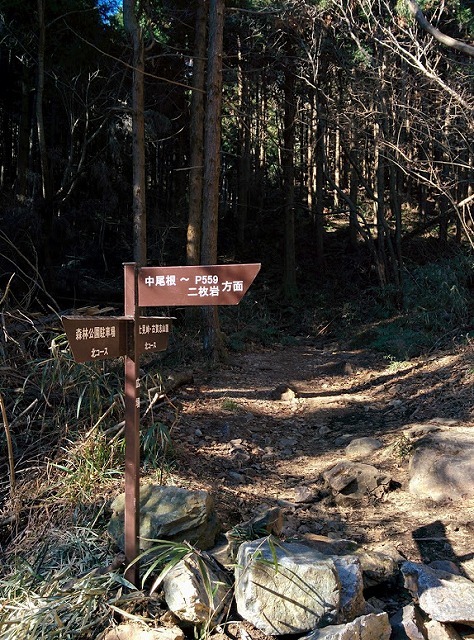 f0207943_10080168.jpg