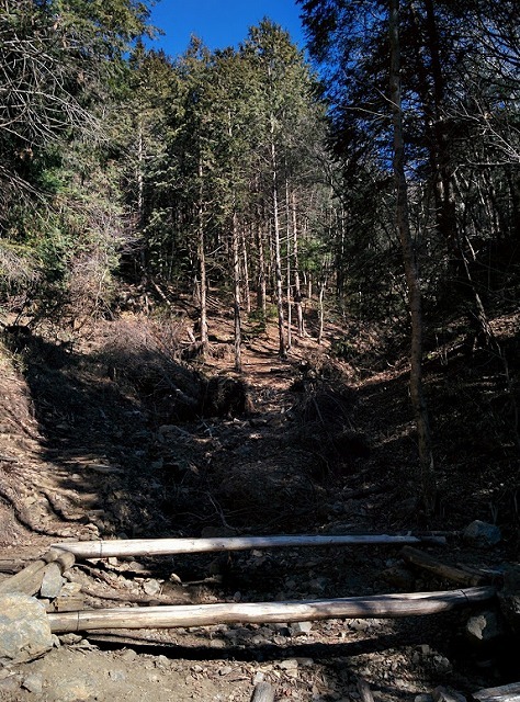 f0207943_10495690.jpg