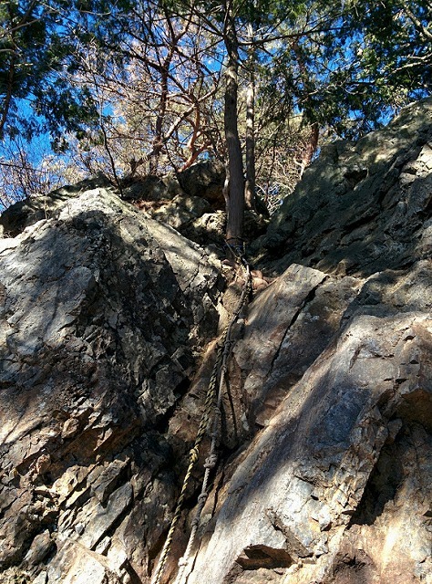f0207943_11083031.jpg
