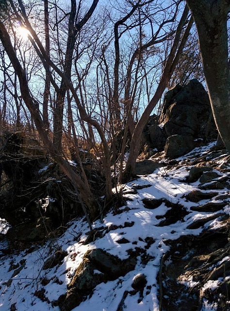 f0207943_11483510.jpg