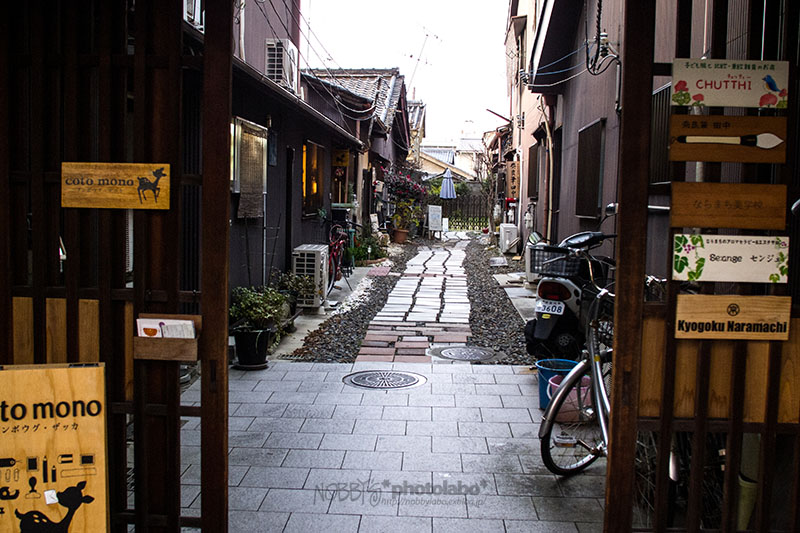 a0134950_239215.jpg