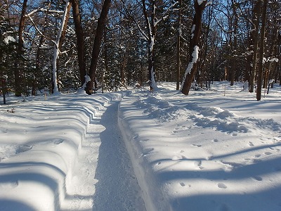 e0004756_201791.jpg