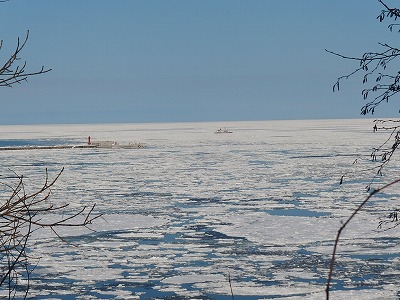 e0004756_20181559.jpg