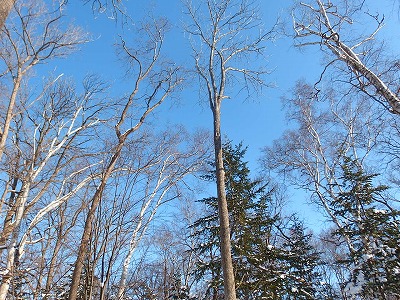 e0004756_20254363.jpg