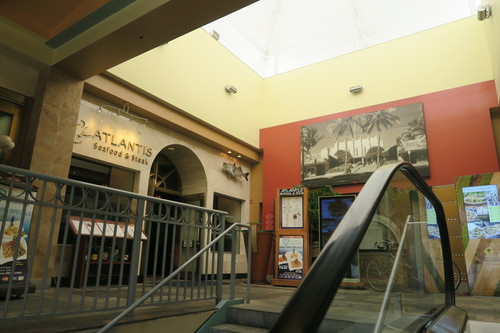 d0029363_111830100.jpg