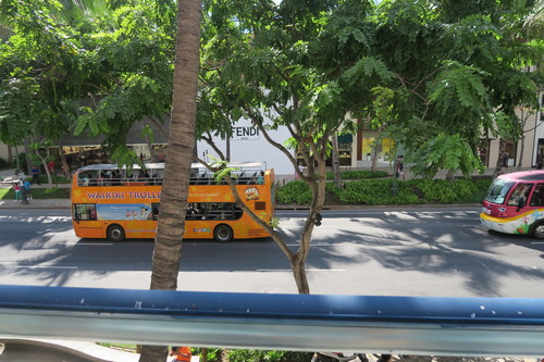 d0029363_1125690.jpg