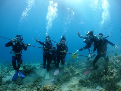 b0033573_17255627.jpg