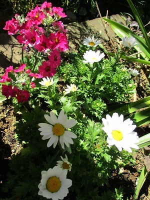 a0053480_07093983.jpg