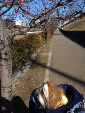 a0198883_23044577.jpg
