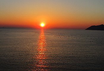 f0003283_19582698.jpg