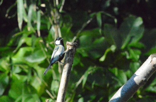 c0204385_23150638.jpg