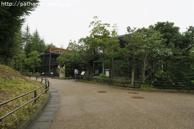 a0052986_2331784.jpg