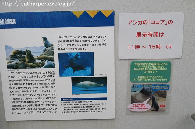 a0052986_7463430.jpg