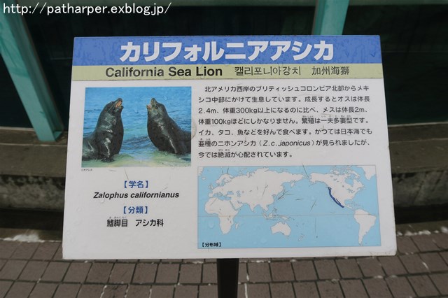 a0052986_747369.jpg