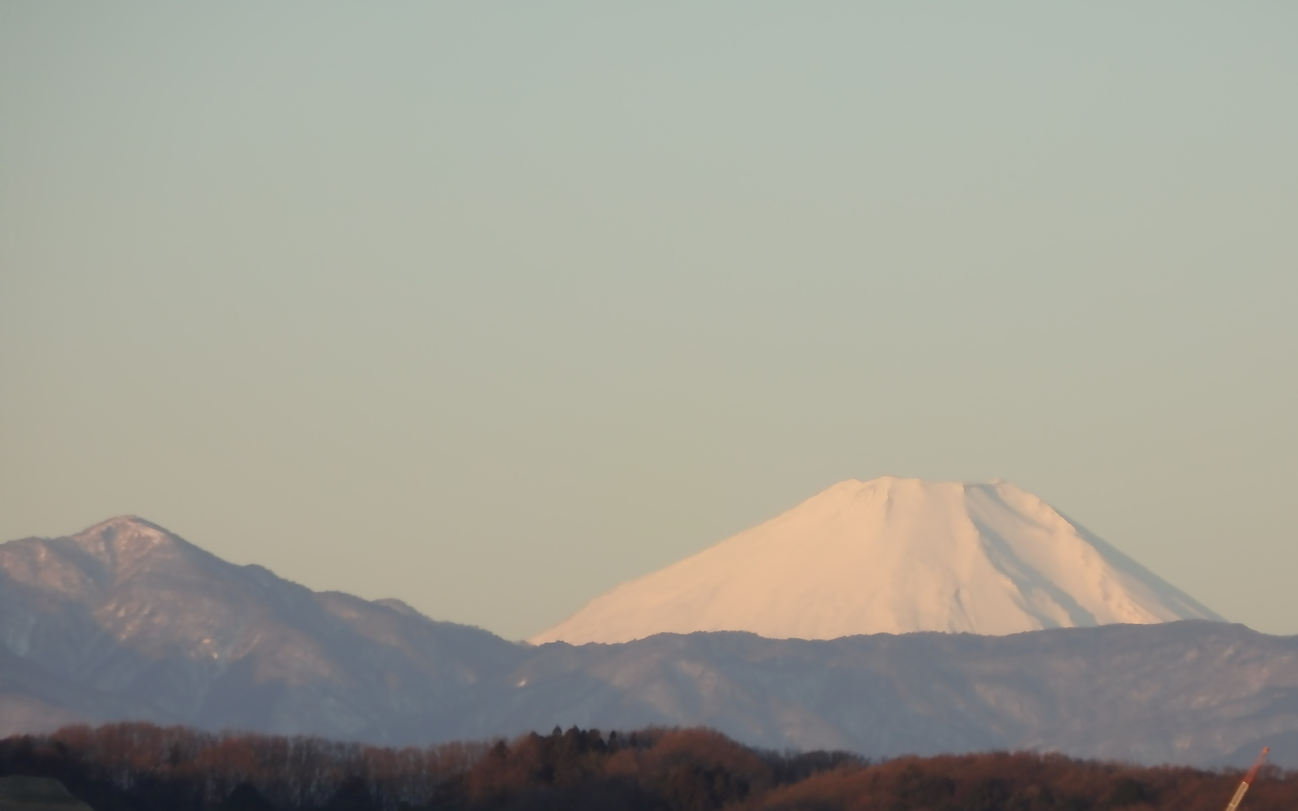 b0197486_862339.jpg