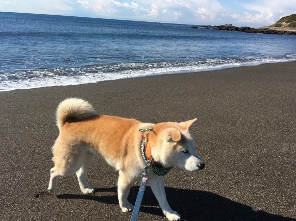 c0123890_18591206.jpeg