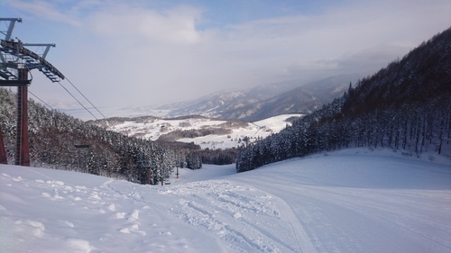 e0015490_2035929.jpg