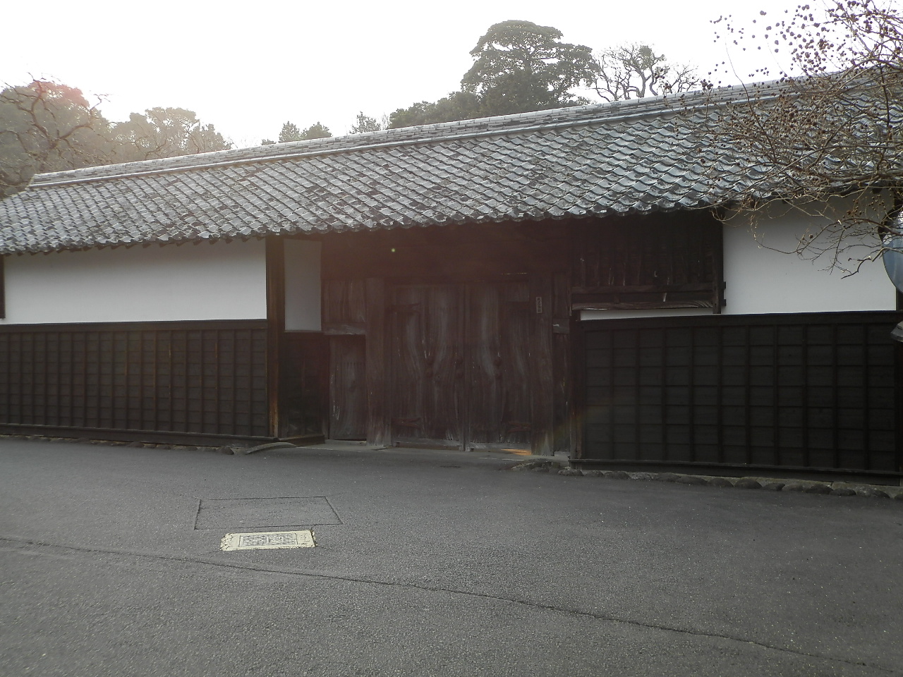 f0181793_1691560.jpg