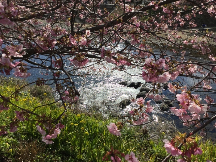f0268294_23265220.jpg