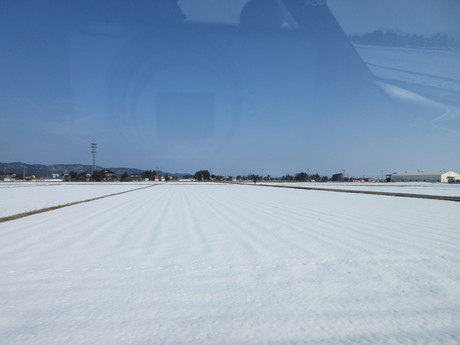 a0203003_15114840.jpg