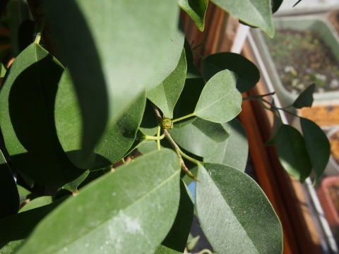 c0117007_22114632.jpg