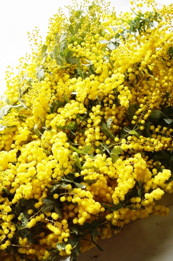 b0151911_1034328.jpg