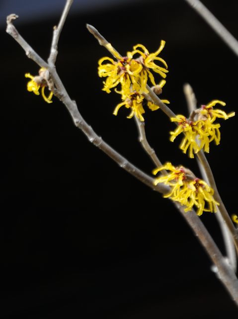 c0047919_17060786.jpg