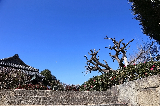 a0242438_22064738.jpg