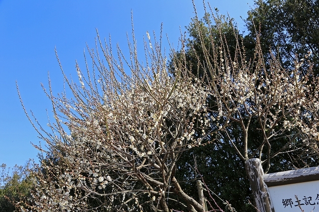 a0242438_22070617.jpg