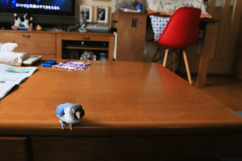c0145250_09025865.gif