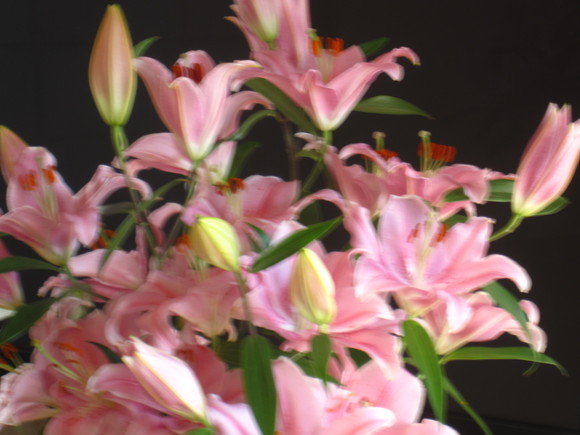 b0243152_21512645.jpg